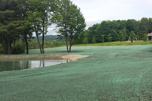 hydroseeded lawn